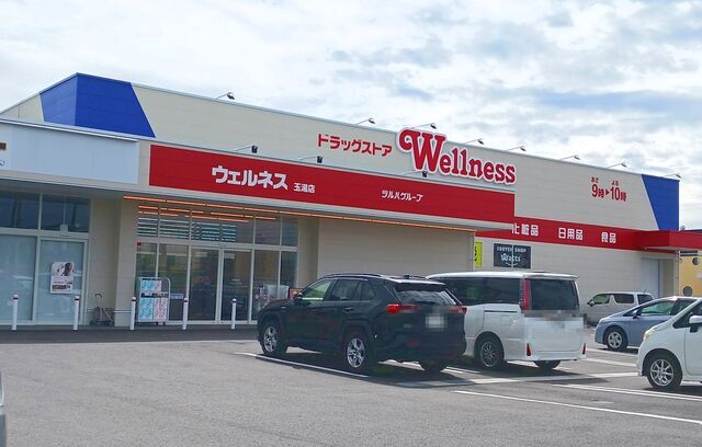 ドラックストア　ウェルネス玉湯店（ドラッグストア）まで450m
