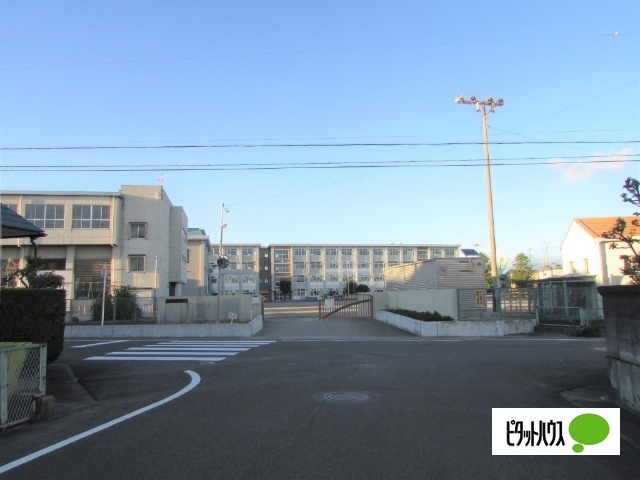 小学校　岐阜市立島小学校（小学校）まで859m