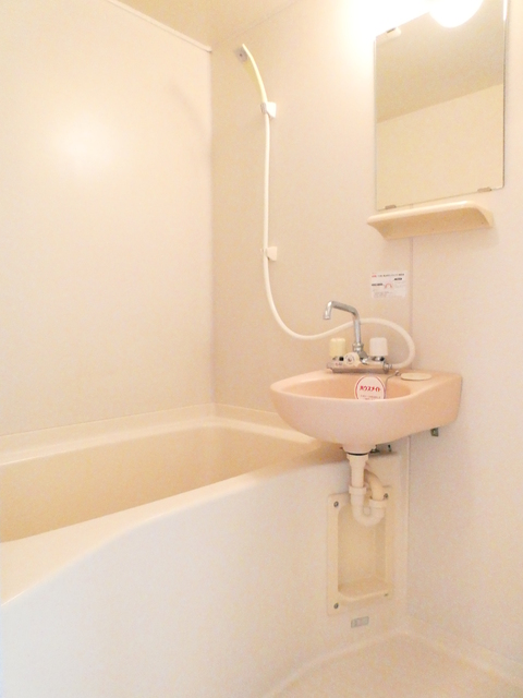 バス・シャワールーム　洗面ボウル付き