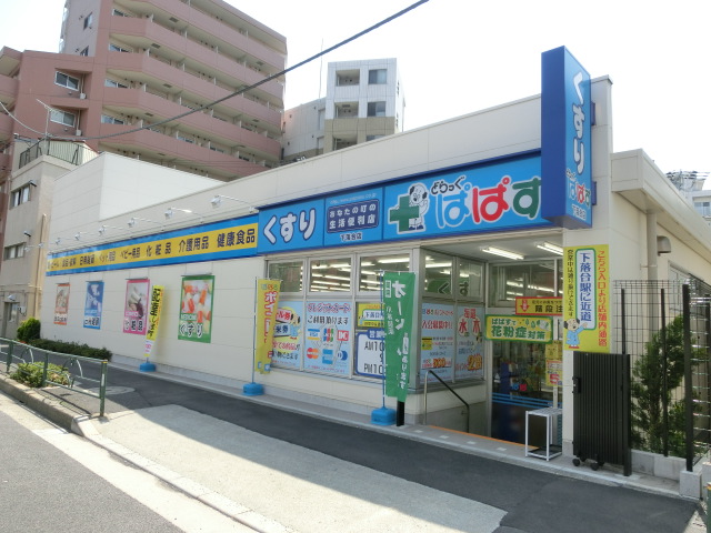 ドラックストア　どらっぐぱぱす下落合店（ドラッグストア）まで290m