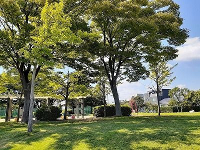 【ラフィネの公園】