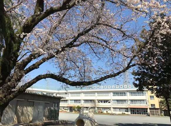 【ヴィラ・フロレスタの小学校】