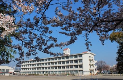 小学校　市立青島東小学校（小学校）まで1100m