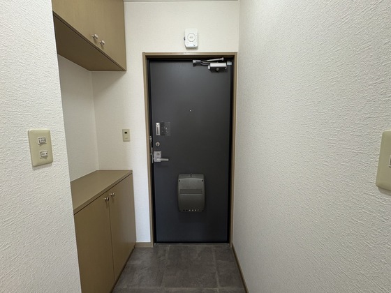 玄関　※別部屋の写真です