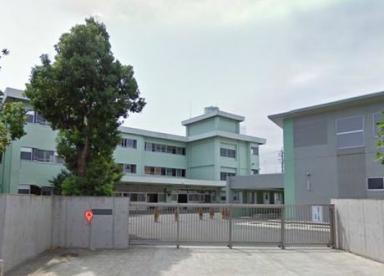小学校　厚木市立清水小学校（小学校）まで324m