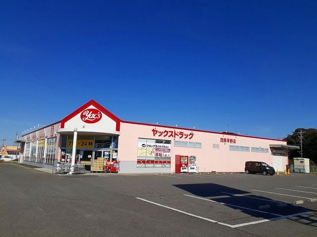 ドラックストア　ヤックスドラッグ茂原早野店（ドラッグストア）まで1000m