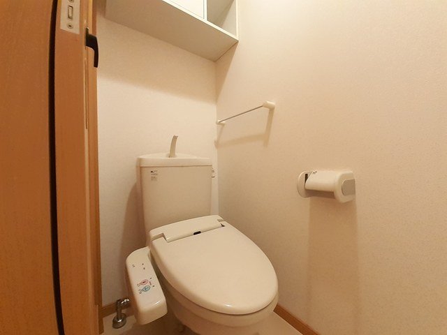 トイレ　トイレも気になるポイント