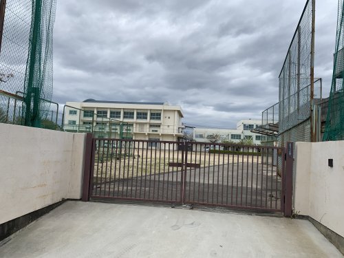 中学校　大阪市立矢田西中学校（中学校）まで42m