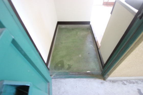 玄関　※別部屋の写真です