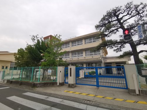 小学校　堺市立南八下小学校（小学校）まで402m