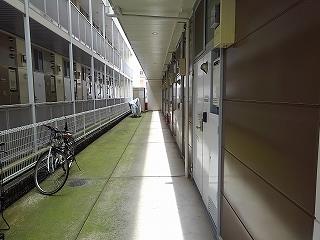 ＪＲ山陽本線 姫路駅 徒歩13分 3階建 築25年の玄関写真