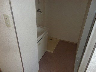 洗面設備　写真は別部屋です(参考)
