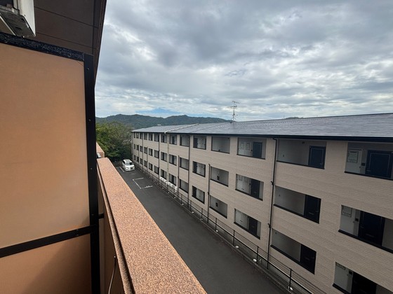 眺望　※別部屋の写真です