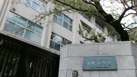 小学校　千代田区立番町小学校（小学校）まで100m