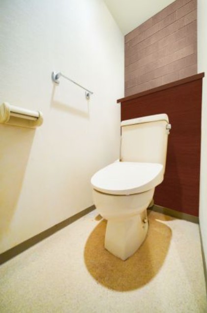 トイレ　別タイプ部屋　参考写真です