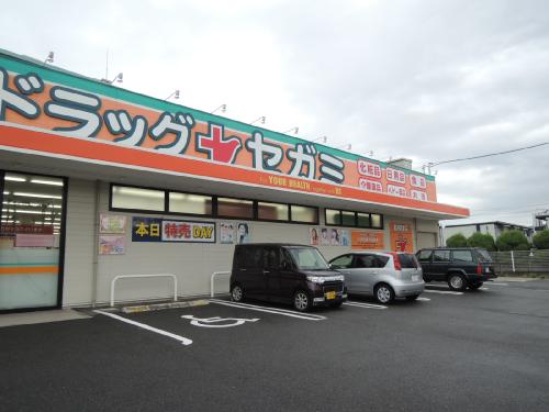 ドラックストア　セガミ久宝寺店（ドラッグストア）まで595m
