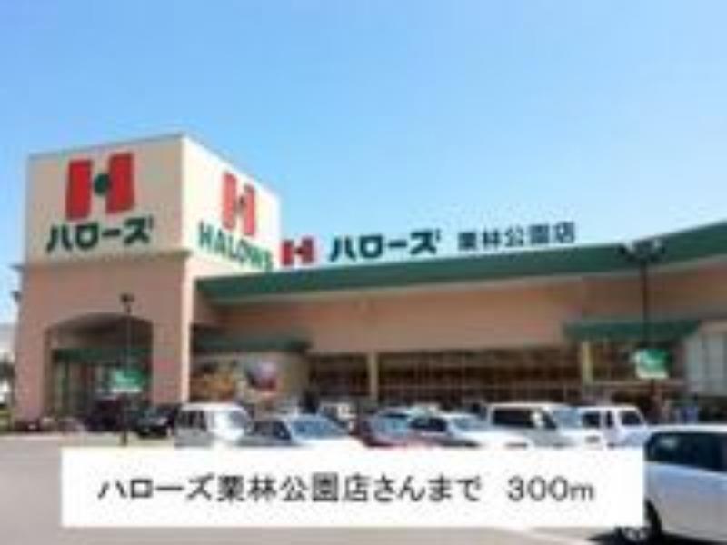 スーパー　ハローズ栗林公園店（スーパー）まで300m