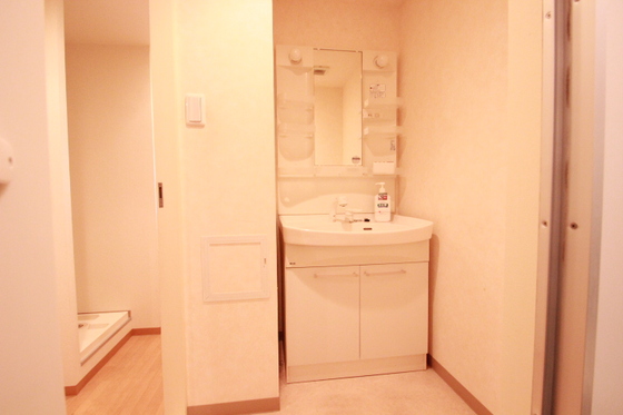 洗面設備　※別号室の写真です