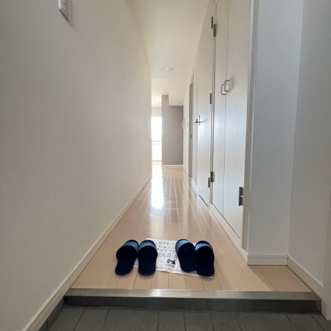 玄関　同仕様タイプです