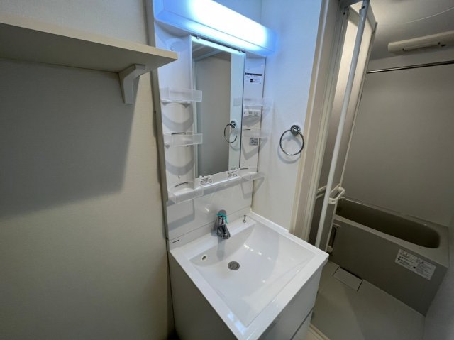 洗面設備　人気のシャンプードレッサー※205号室の写真です