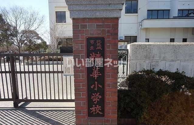 小学校　北茨城市立精華小学校（小学校）まで285m