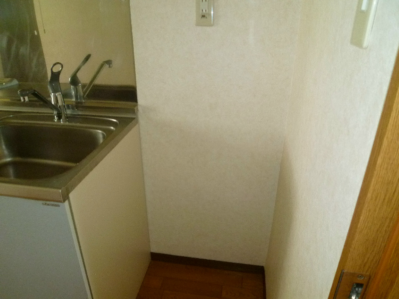 その他　写真は類似