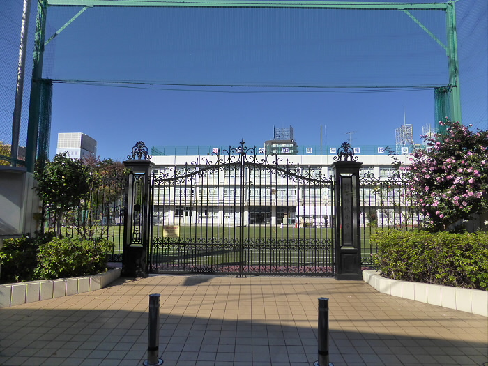 小学校　渋谷区立幡代小学校（小学校）まで421m