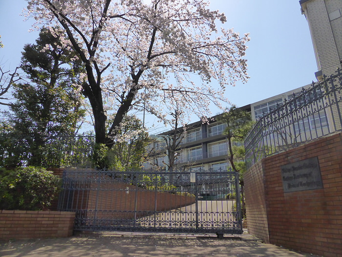 大学・短大　帝京短期大学（大学・短大）まで1340m