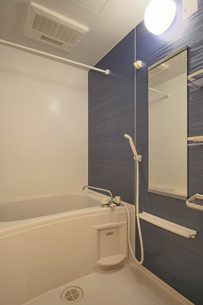 バス・シャワールーム　同じ建物の別なお部屋