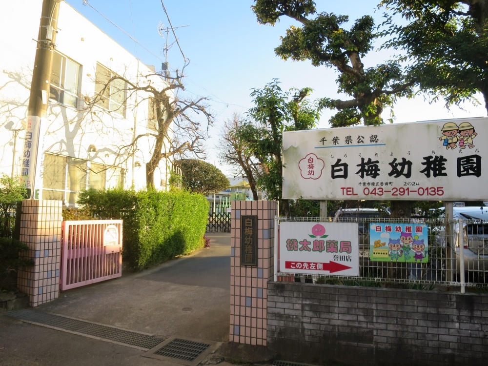 幼稚園・保育園　白梅幼稚園（幼稚園・保育園）まで1049m