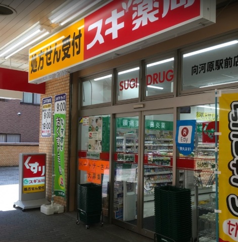 ドラックストア　スギ薬局向河原駅前店（ドラッグストア）まで162m