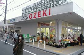 スーパー　オオゼキ 大森北店（スーパー）まで308m