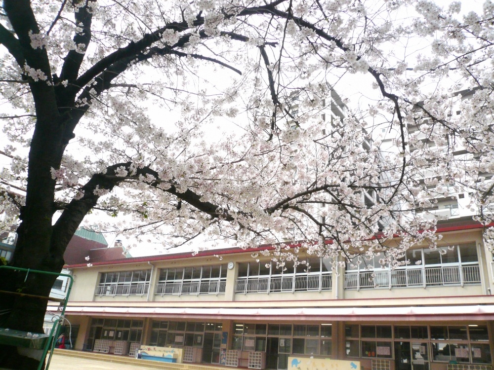 幼稚園・保育園　常盤幼稚園（幼稚園・保育園）まで511m