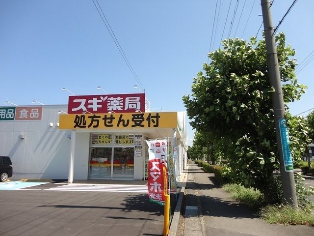 ドラックストア　スギ薬局敦賀南店（ドラッグストア）まで800m