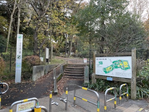 公園　林試の森公園（公園）まで256m