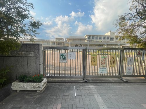 小学校　尼崎市立水堂小学校（小学校）まで253m