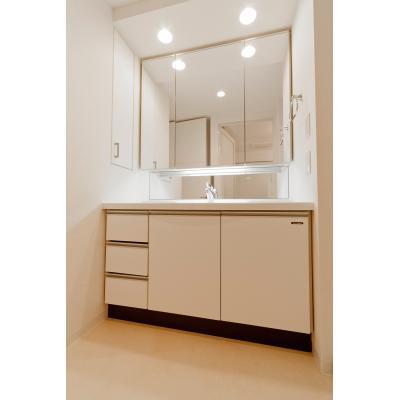 洗面設備　※別部屋の参考写真です。