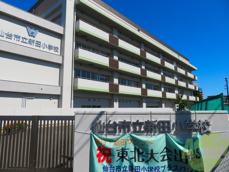 小学校　仙台市立新田小学校（小学校）まで615m