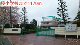 小学校　桜小学校（小学校）まで1170m