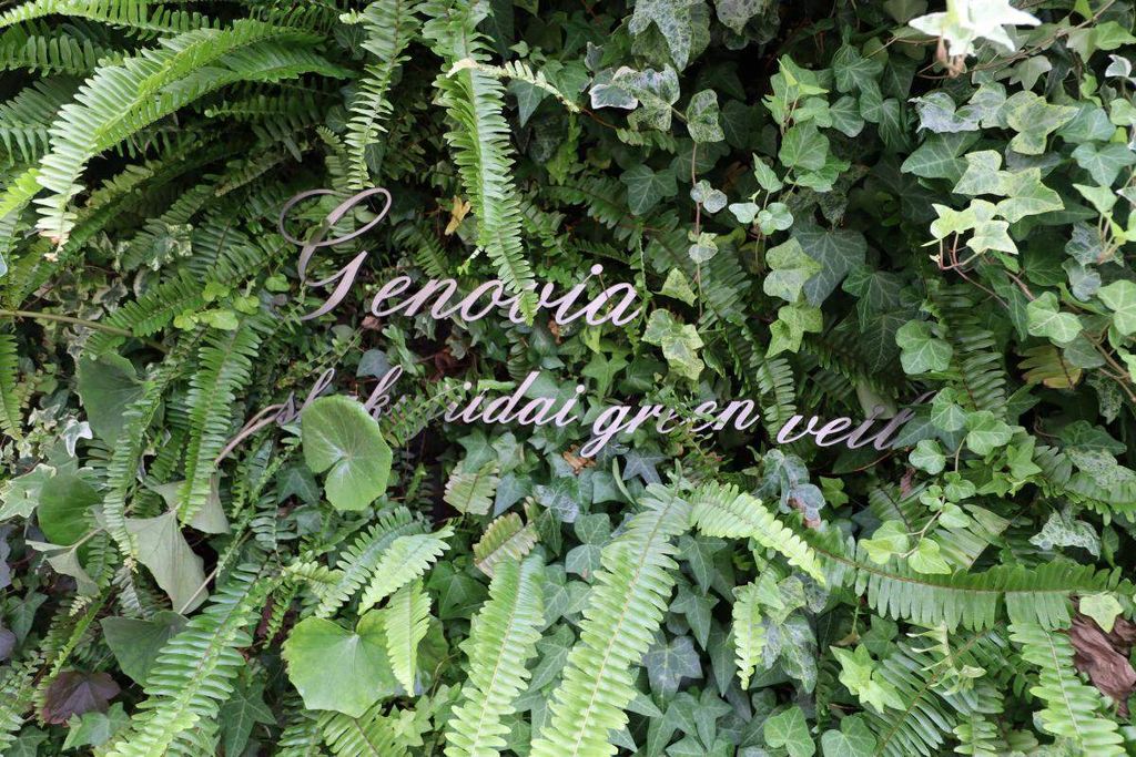 玄関　エントランス