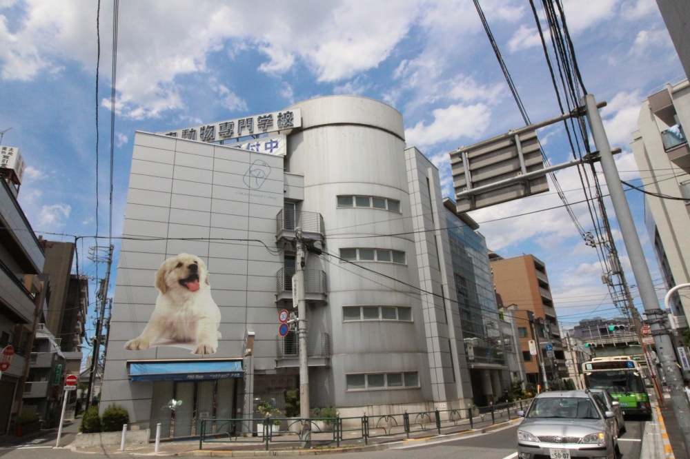 その他　中央動物専門学校（その他）まで1496m