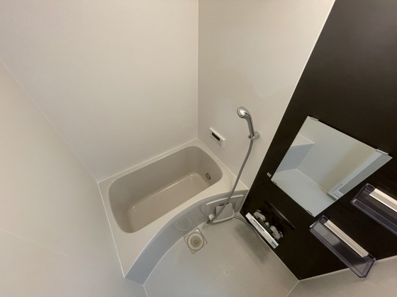 バス・シャワールーム　※別部屋の写真です