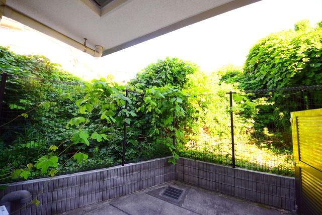 眺望　★★眺望★★