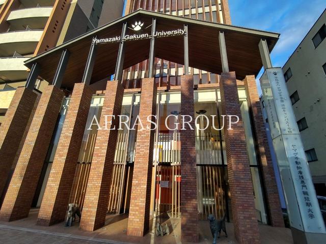 大学・短大　ヤマザキ動物看護大学 渋谷キャンパス（大学・短大）まで291m