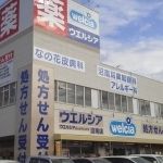 ドラックストア　ウエルシア薬局沼南店（ドラッグストア）まで344m