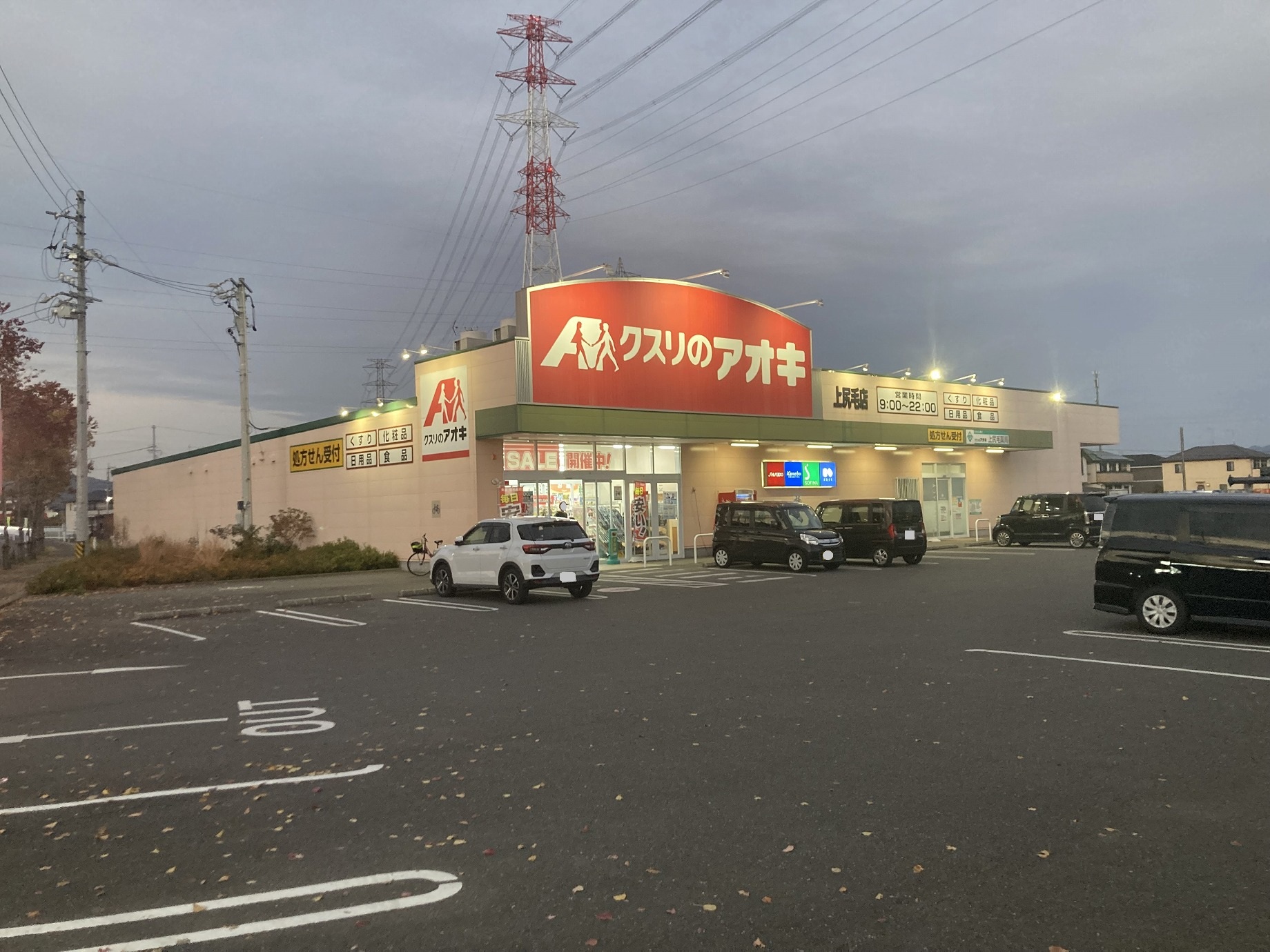 ドラックストア　クスリのアオキ上尻毛店（ドラッグストア）まで644m