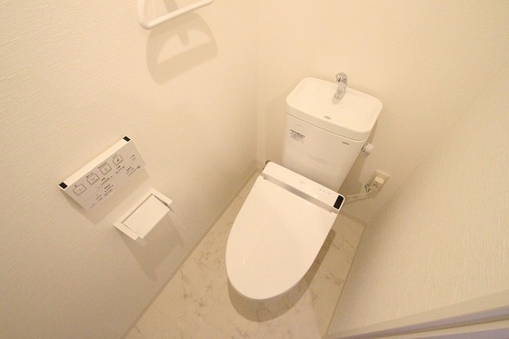 トイレ　※他号室の写真です