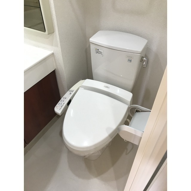 トイレ　同タイプの別号室の写真です。