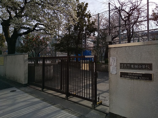 小学校　目黒区立東根小学校（小学校）まで900m