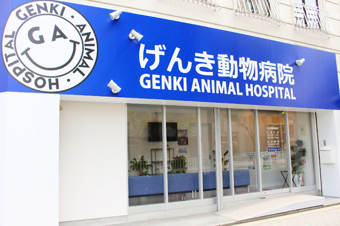 病院　げんき動物病院（病院）まで212m